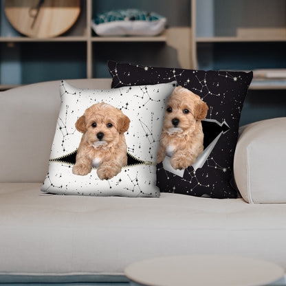 They Steal Your Couch - Maltipoo Pillow Cases V1 (Set of 2)