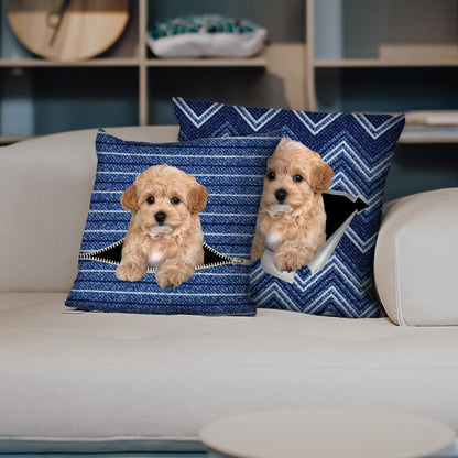 They Steal Your Couch - Maltipoo Pillow Cases V1 (Set of 2)