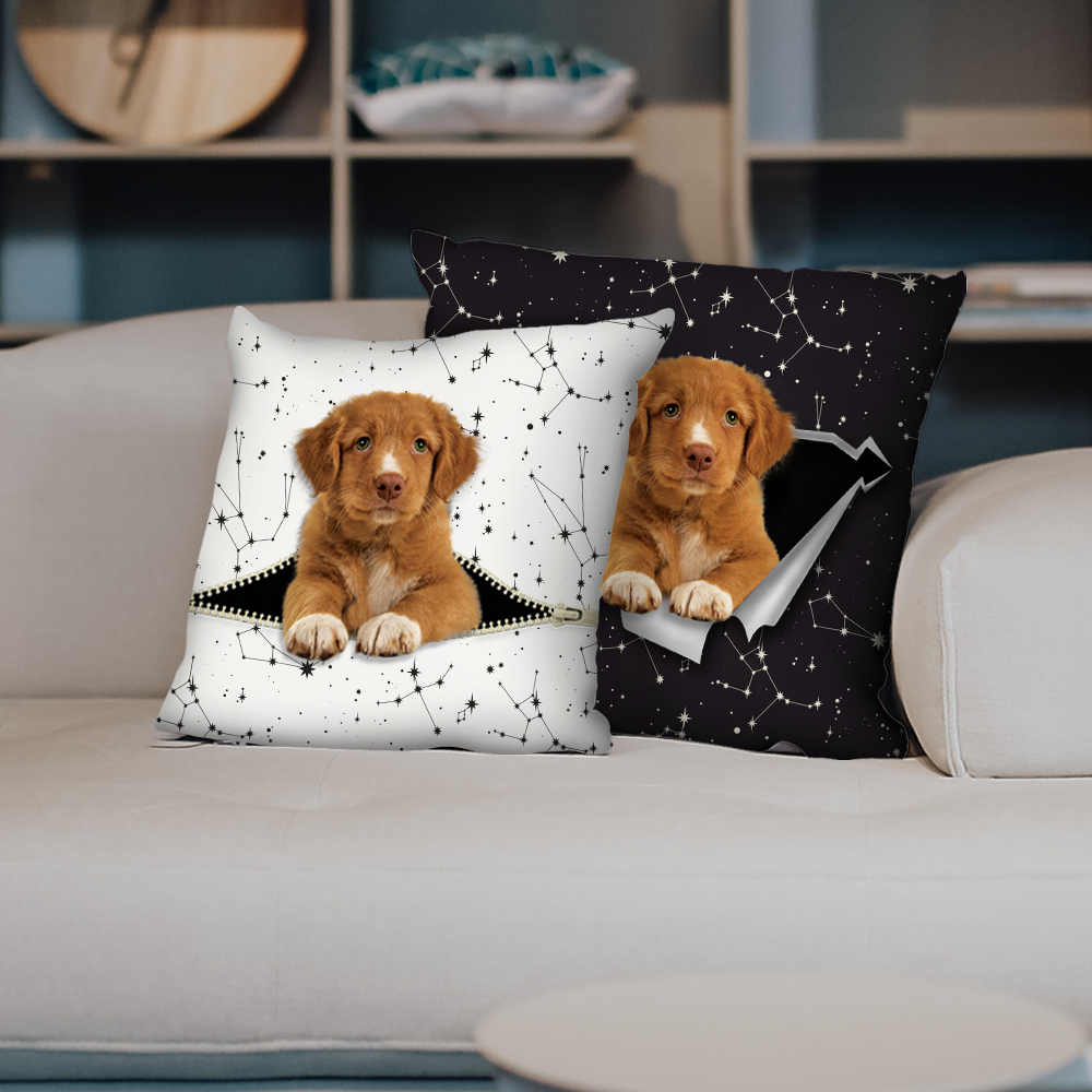 They Steal Your Couch - Nova Scotia Duck Tolling Retriever Pillow Cases V1 (Set of 2)
