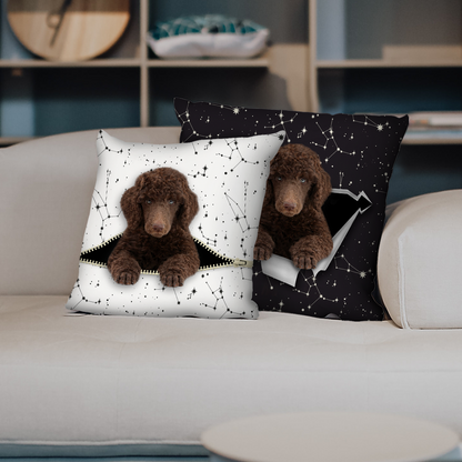 They Steal Your Couch - Poodle Pillow Cases V1 (Set of 2)