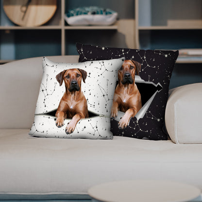 They Steal Your Couch - Rhodesian Ridgeback Pillow Cases V1 (Set of 2)