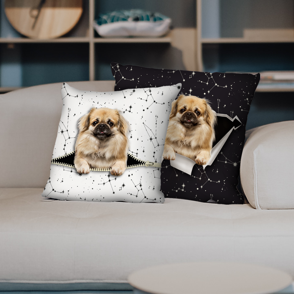 They Steal Your Couch - Tibetan Spaniel Pillow Cases V1 (Set of 2)