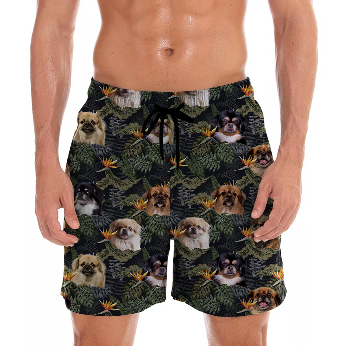 Tibetan Spaniel - Hawaiian Shorts V1