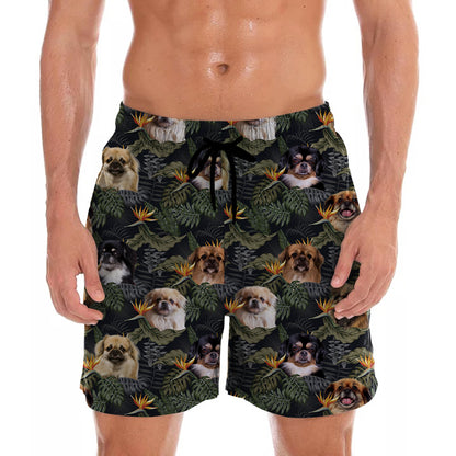 Tibetischer Spaniel - Hawaii-Shorts V1