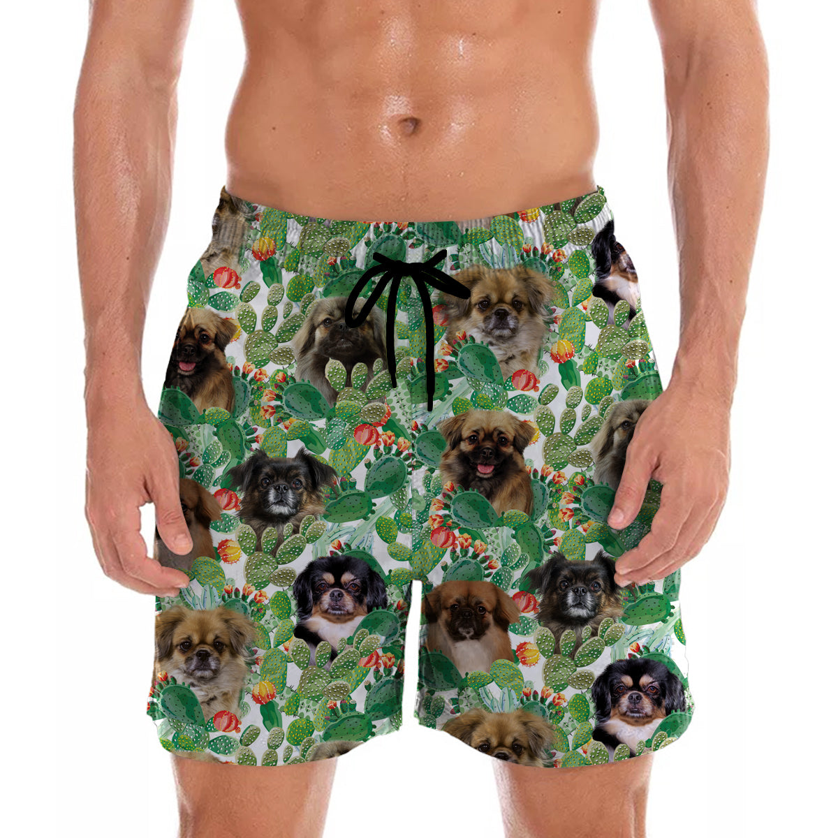 Tibetischer Spaniel - Hawaii-Shorts V2