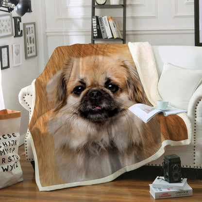 Tibetan Spaniel Blanket V1