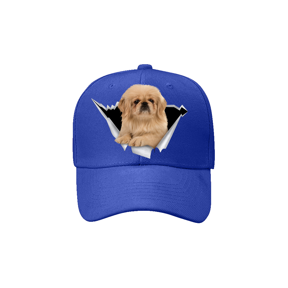 Tibetan Spaniel Fan Club - Hat V13