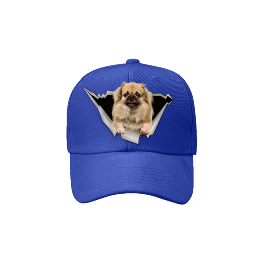 Tibetan Spaniel Fan Club - Hat V3