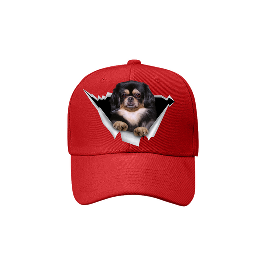Tibetan Spaniel Fan Club - Hat V7