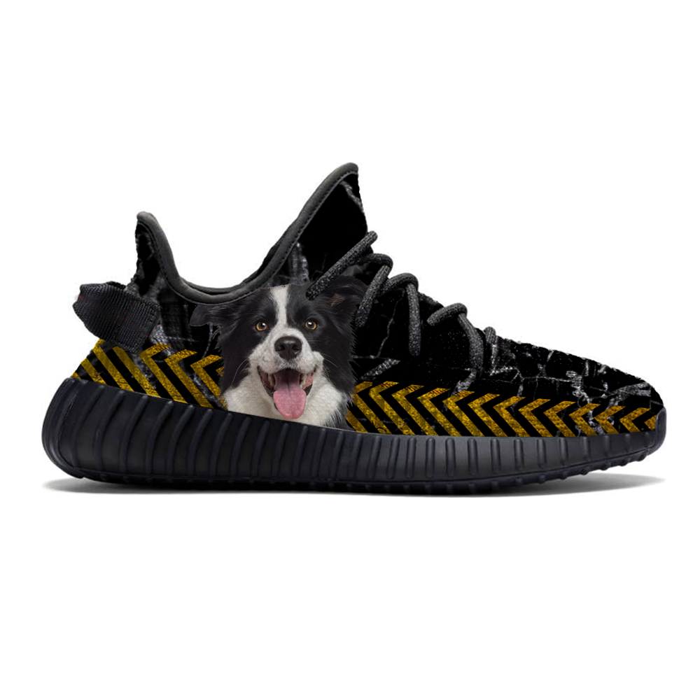 Walk With Your Border Collie - Sneakers V1