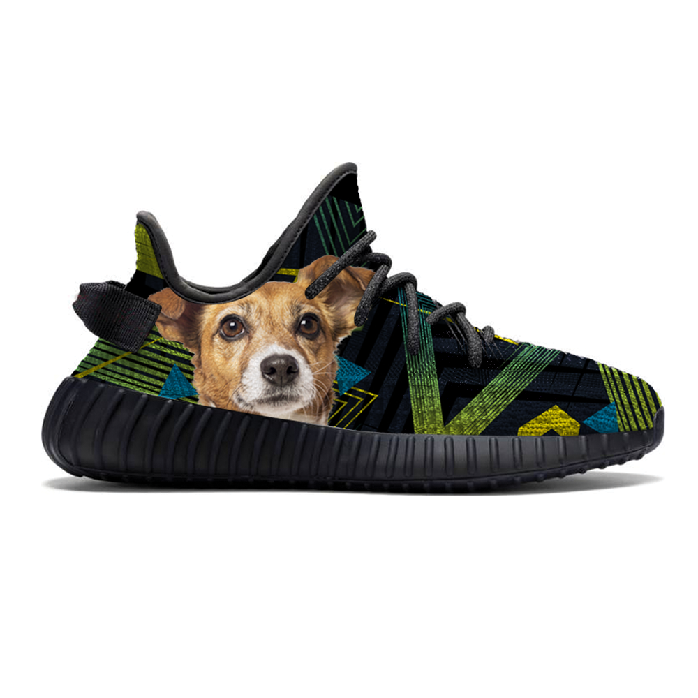 Gehen Sie mit Ihrem Jack Russell Terrier - Sneakers V2