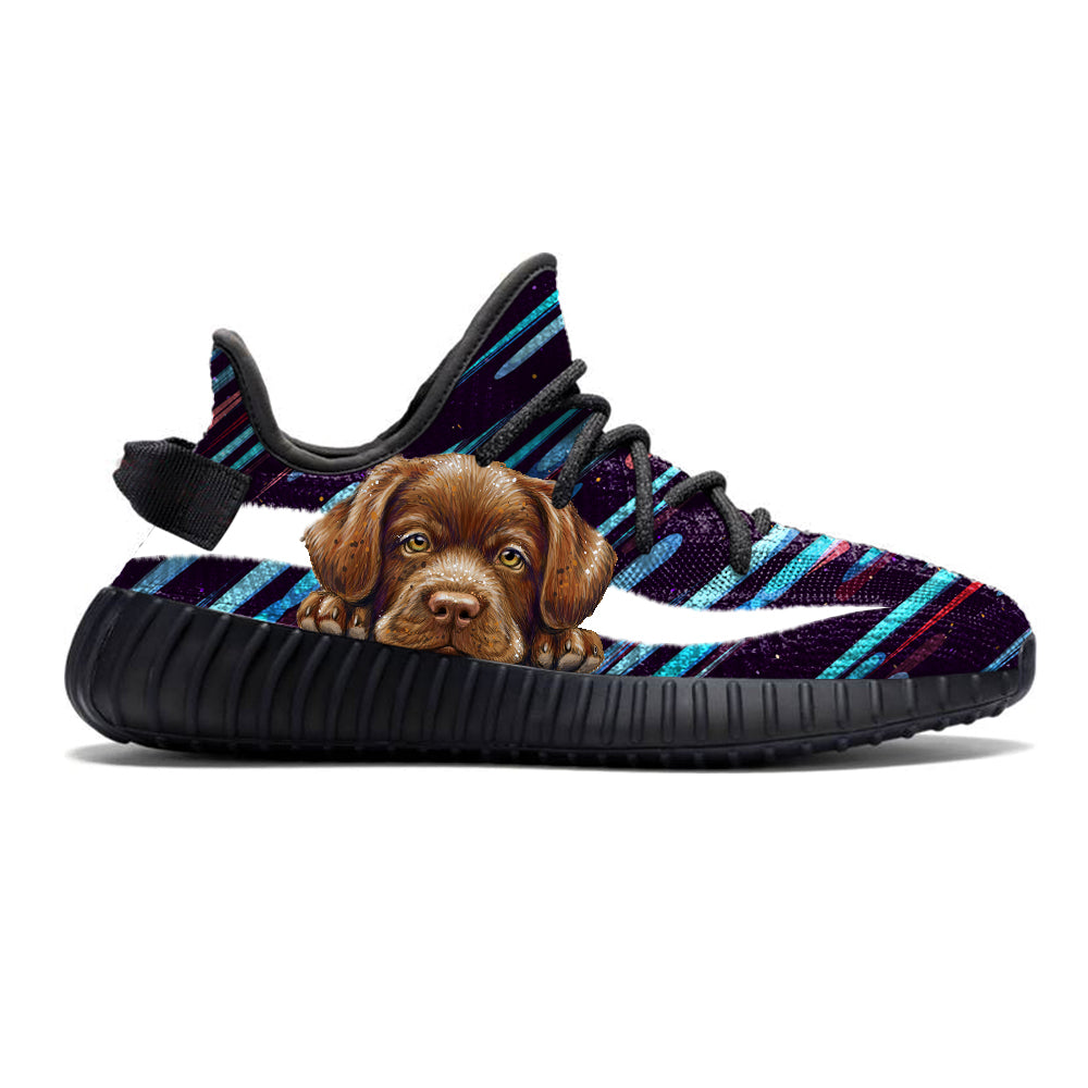 Walk With Your Labrador - Sneakers V1 – Follus