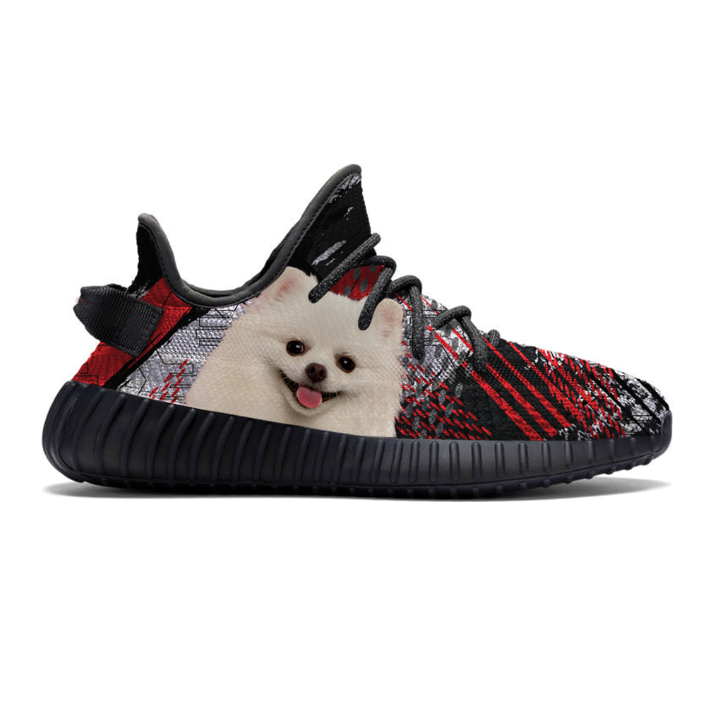 Walk With Your Pomeranian - Sneakers V2