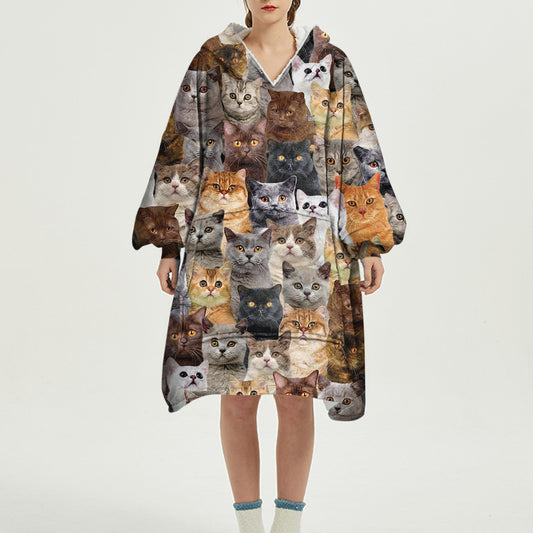 Warm Winter With British Shorthair Cats - Fleece Blanket Hoodie