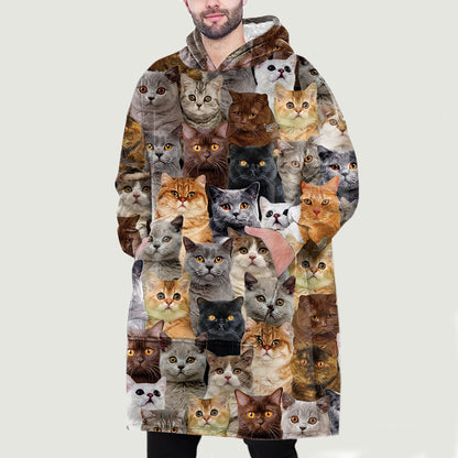 Warm Winter With British Shorthair Cats - Fleece Blanket Hoodie