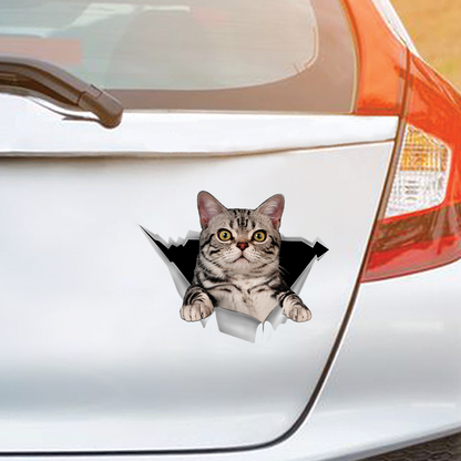 We Like Riding In Cars – American Shorthair Auto-/Tür-/Kühlschrank-/Laptop-Aufkleber V1