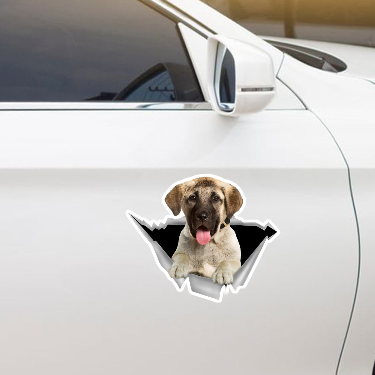 We Like Riding In Cars – Aufkleber für Auto/Tür/Kühlschrank/Laptop mit anatolischem Schäferhund V1