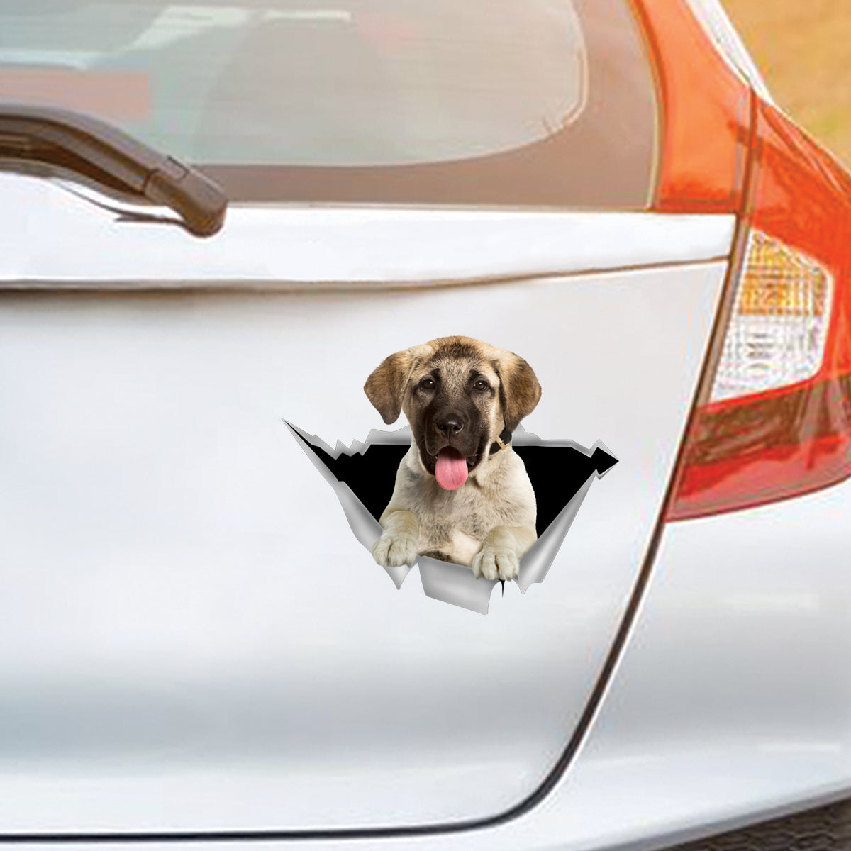We Like Riding In Cars – Aufkleber für Auto/Tür/Kühlschrank/Laptop mit anatolischem Schäferhund V1
