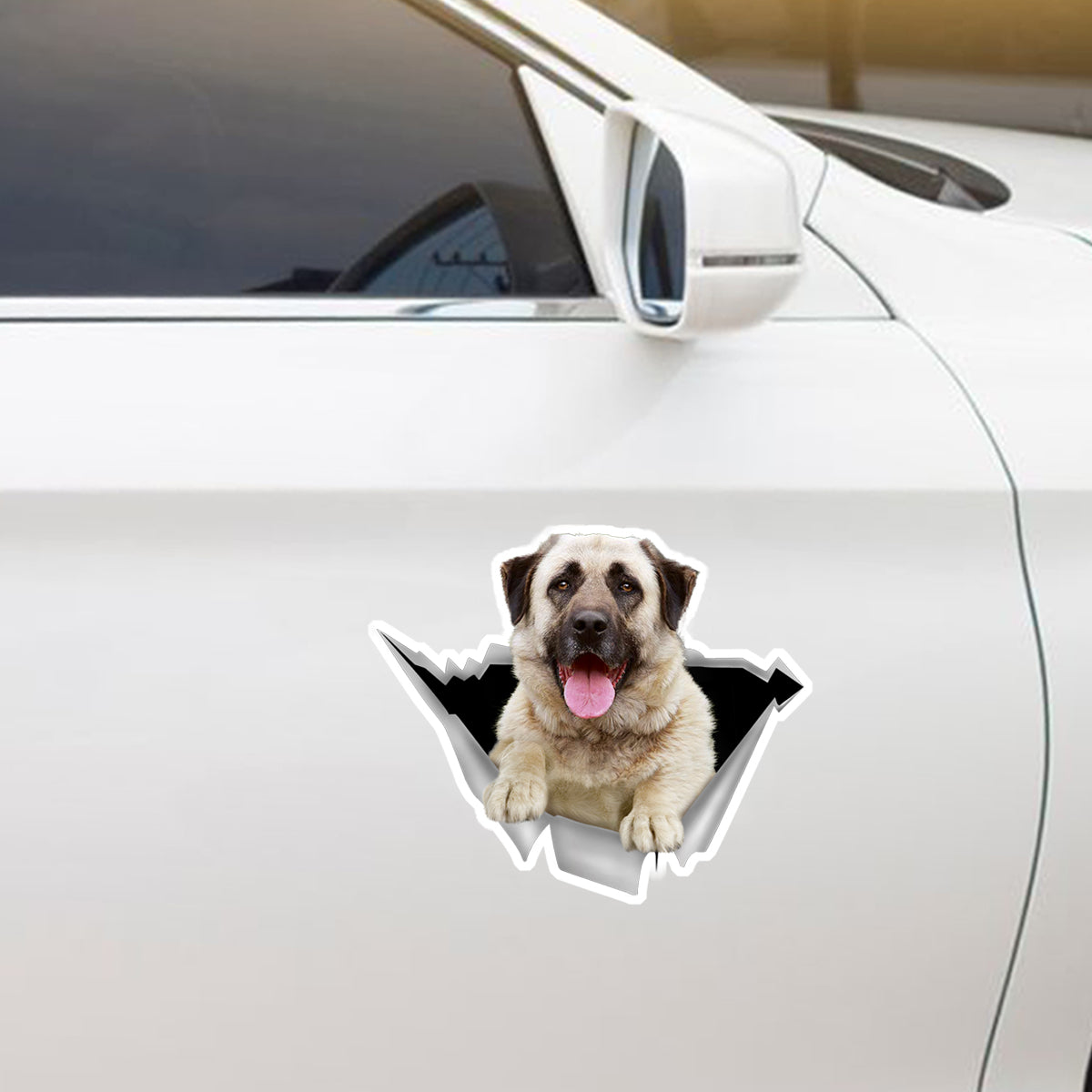 We Like Riding In Cars – Anatolischer Schäferhund-Auto-/Tür-/Kühlschrank-/Laptop-Aufkleber V2
