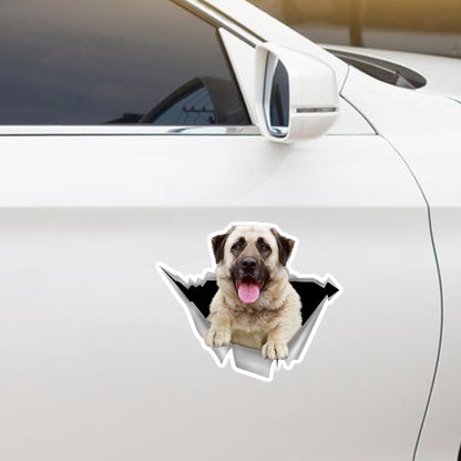 We Like Riding In Cars - Anatolian Shepherd Car/ Door/ Fridge/ Laptop Sticker V2