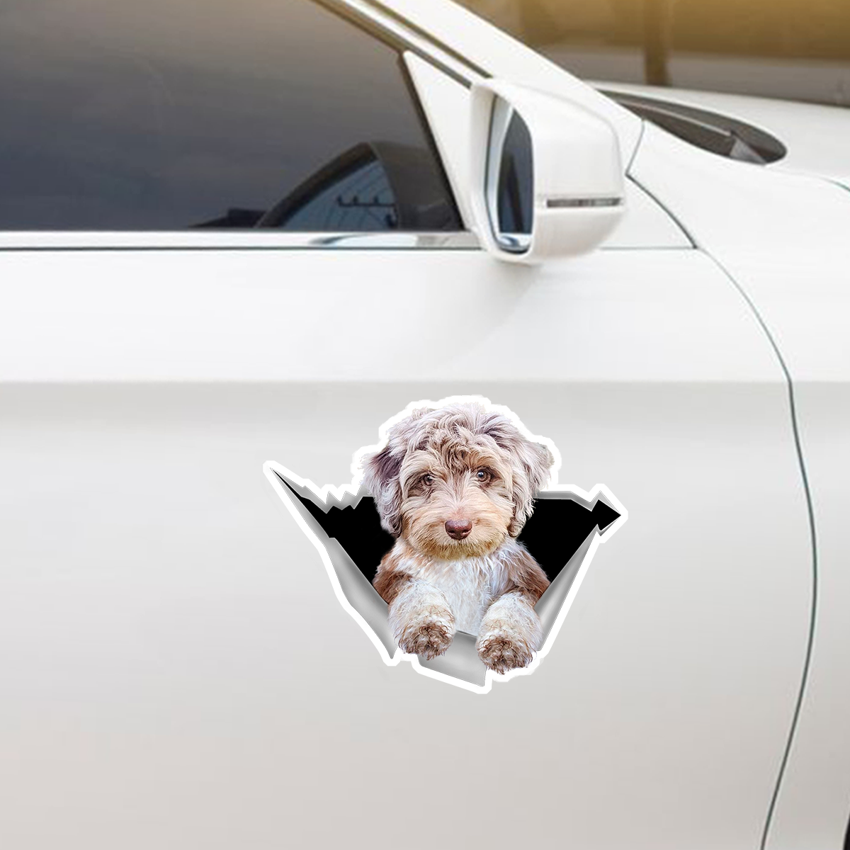 We Like Riding In Cars - Aussiedoodle Car/ Door/ Fridge/ Laptop Sticker V1