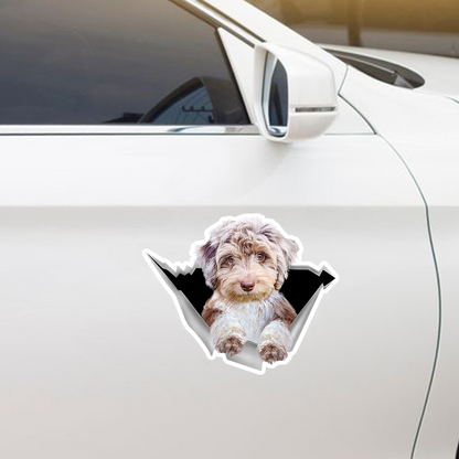 We Like Riding In Cars - Aussiedoodle Car/ Door/ Fridge/ Laptop Sticker V1