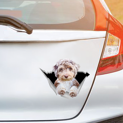We Like Riding In Cars - Aussiedoodle Car/ Door/ Fridge/ Laptop Sticker V1