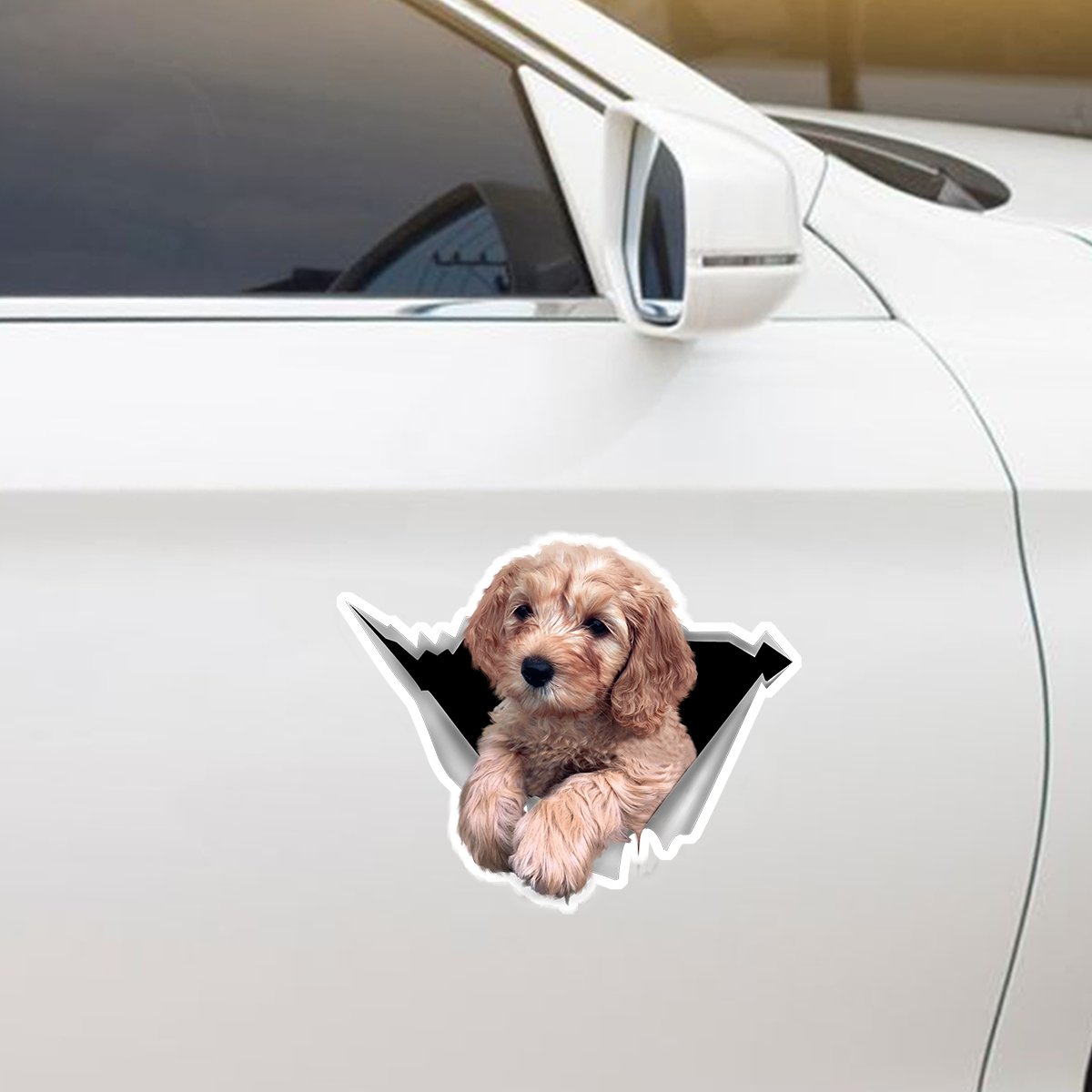 We Like Riding In Cars - Australian Doodle Car/ Door/ Fridge/ Laptop Sticker V1