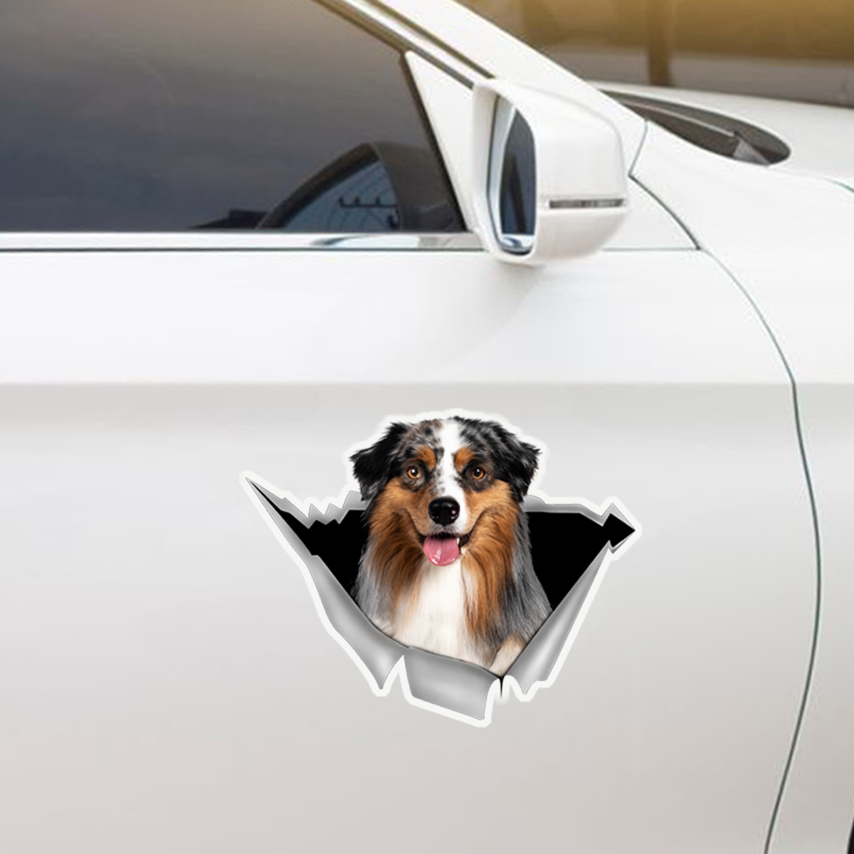 We Like Riding In Cars - Australian Shepherd Car/ Door/ Fridge/ Laptop Sticker V3