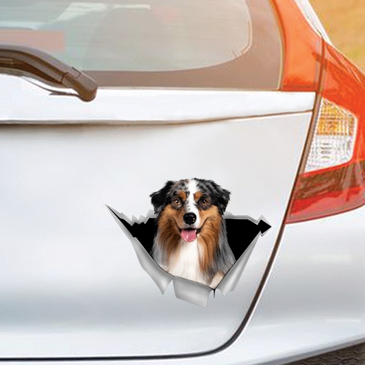 We Like Riding In Cars - Australian Shepherd Car/ Door/ Fridge/ Laptop Sticker V3