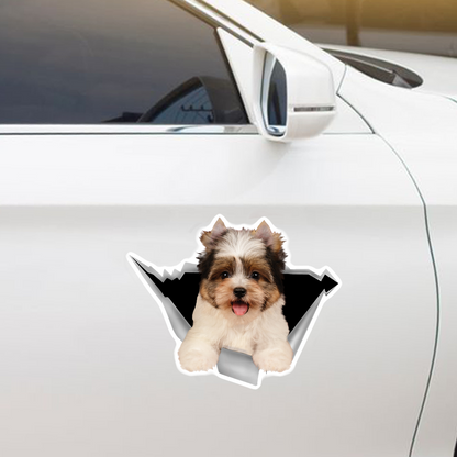 We Like Riding In Cars - Biewer Terrier Car/ Door/ Fridge/ Laptop Sticker V1