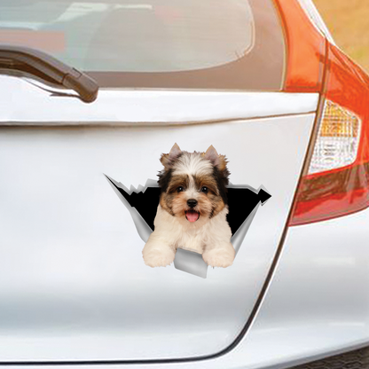 We Like Riding In Cars - Biewer Terrier Car/ Door/ Fridge/ Laptop Sticker V1