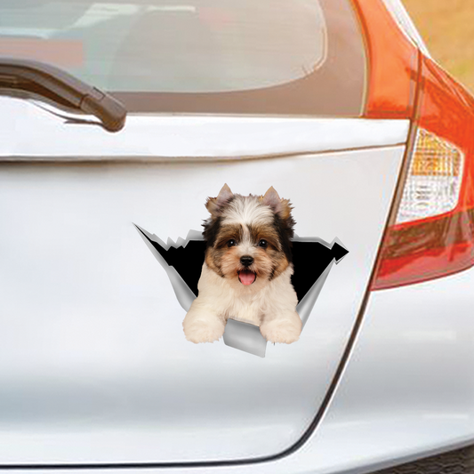 We Like Riding In Cars – Biewer Terrier Auto-/Tür-/Kühlschrank-/Laptop-Aufkleber V1
