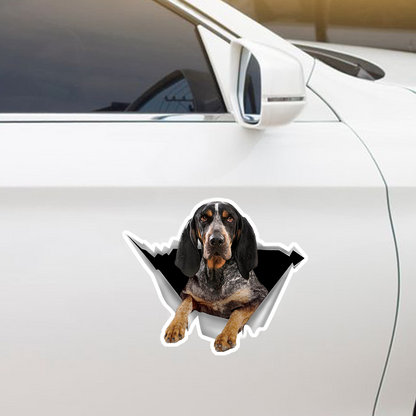 Nous aimons rouler dans les voitures - Bluetick Coonhound Autocollant de voiture/porte/réfrigérateur/ordinateur portable V1