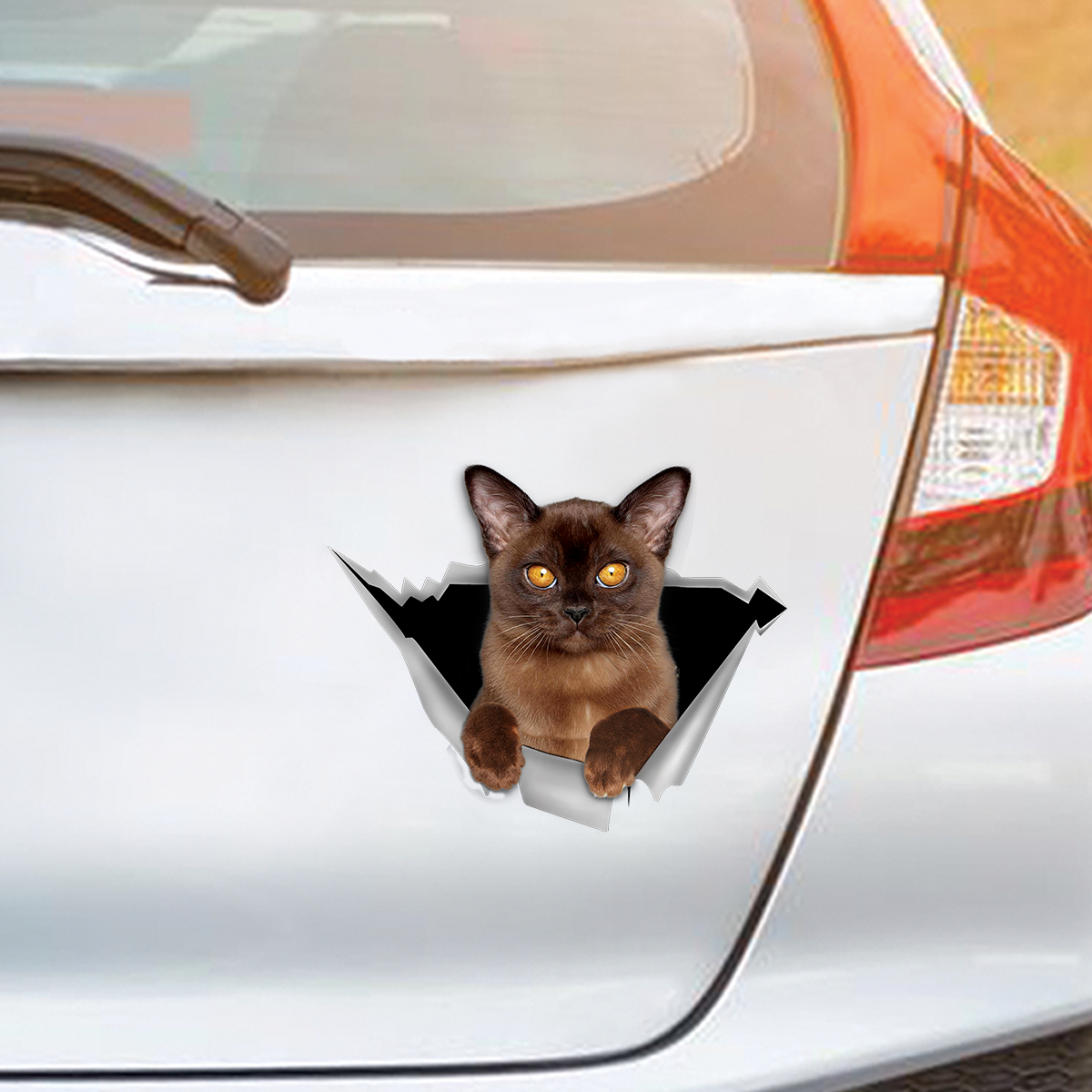 We Like Riding In Cars - Burmese Car/ Door/ Fridge/ Laptop Sticker V1