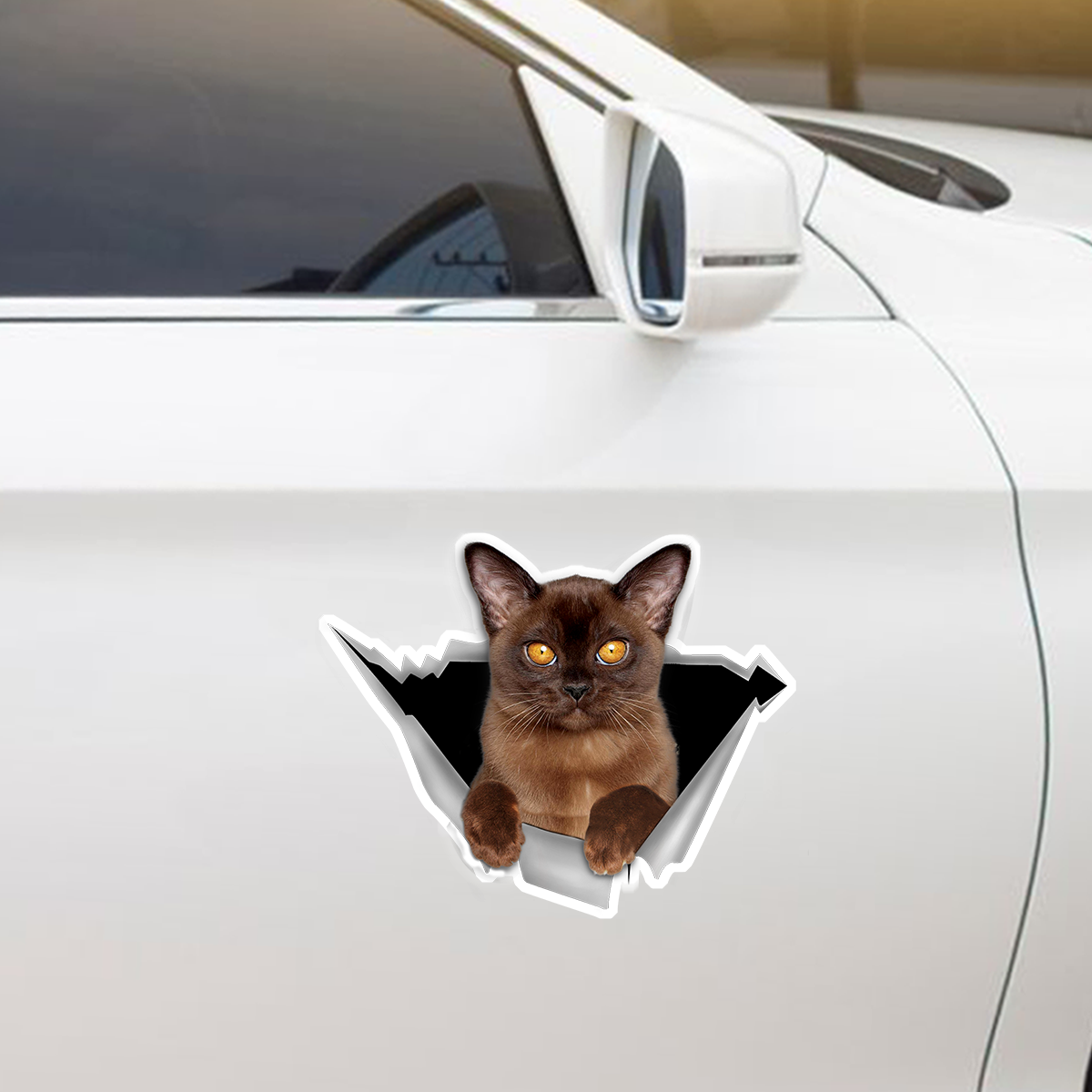 We Like Riding In Cars - Burmese Car/ Door/ Fridge/ Laptop Sticker V1