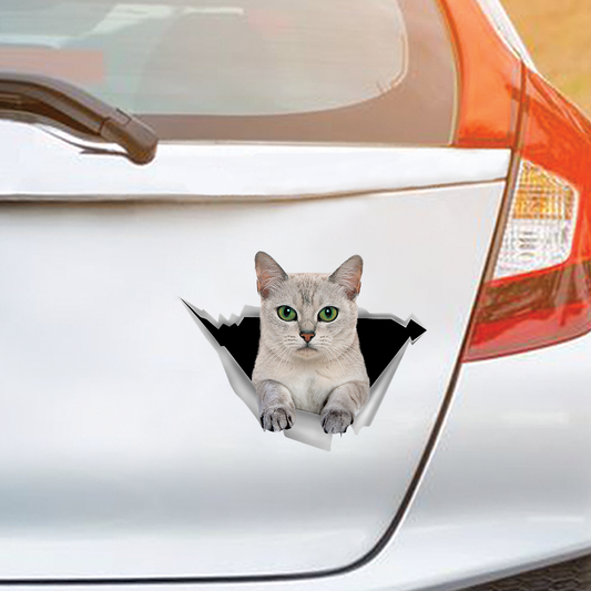 We Like Riding In Cars - Burmilla Car/ Door/ Fridge/ Laptop Sticker V1