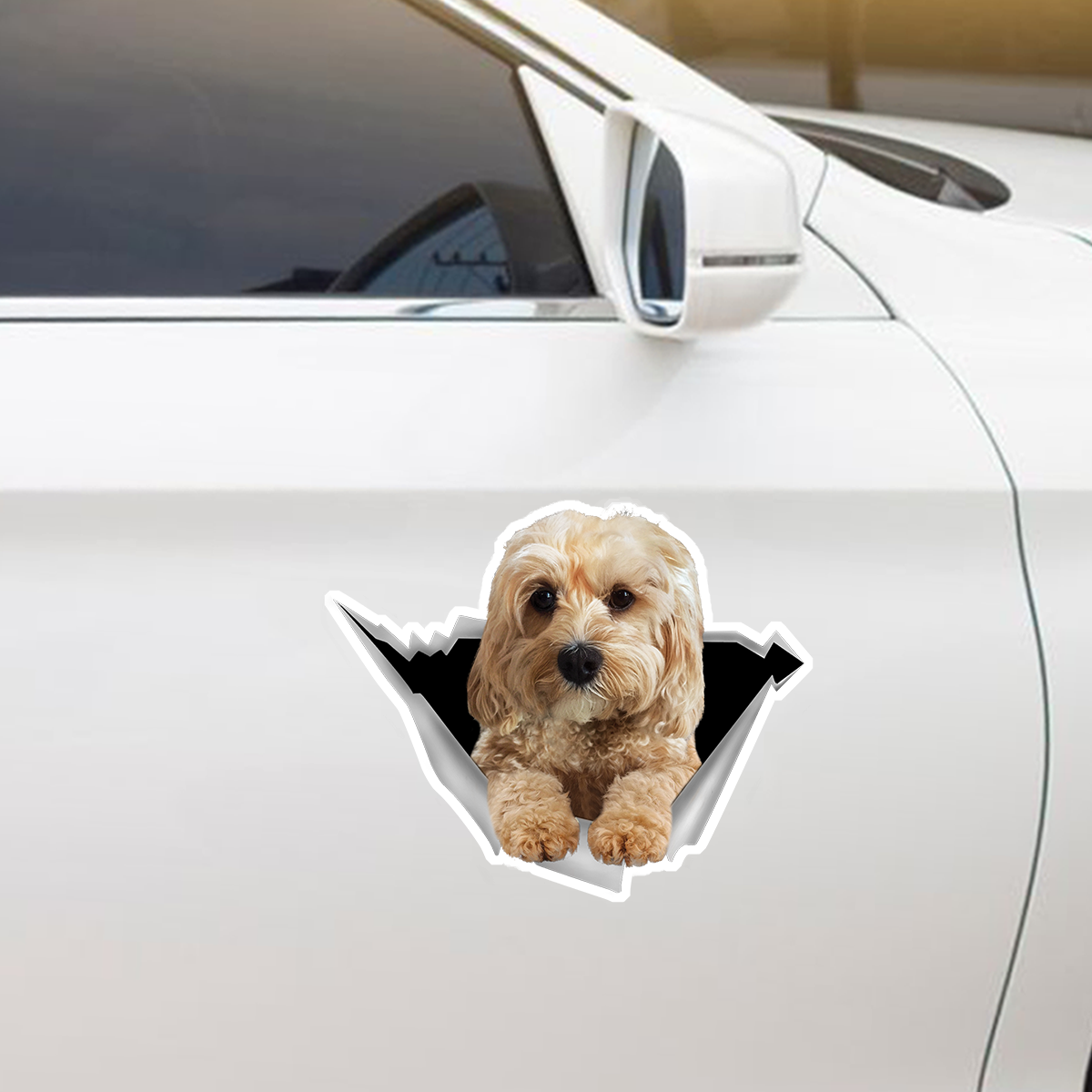 Nous aimons rouler en voiture - Cavapoo Car/ Door/ Fridge/ Laptop Sticker V1