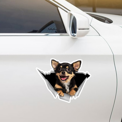 We Like Riding In Cars - Chihuahua Car/ Door/ Fridge/ Laptop Sticker V6