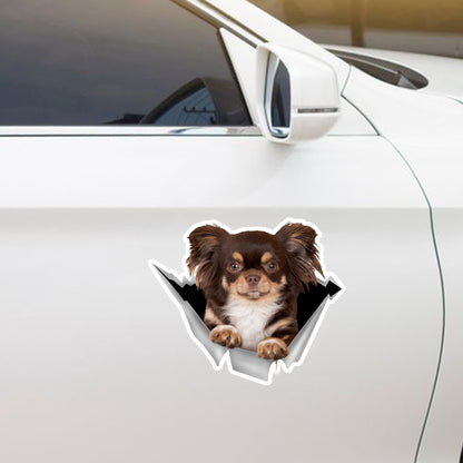 We Like Riding In Cars - Chihuahua Car/ Door/ Fridge/ Laptop Sticker V5