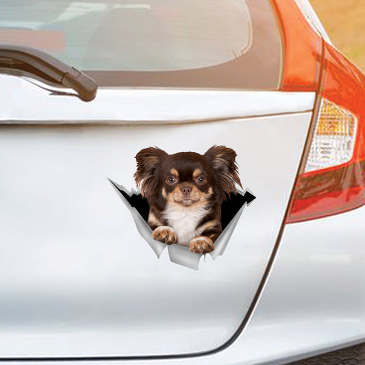 We Like Riding In Cars – Aufkleber für Auto/Tür/Kühlschrank/Laptop von Chihuahua V5