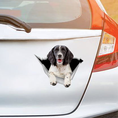 Nous aimons rouler dans les voitures - Autocollant de voiture/porte/réfrigérateur/ordinateur portable anglais Springer Spaniel V2