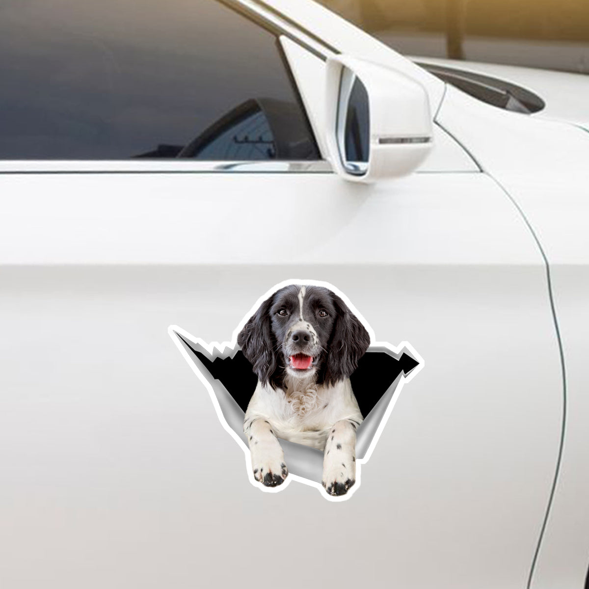 Nous aimons rouler dans les voitures - Autocollant de voiture/porte/réfrigérateur/ordinateur portable anglais Springer Spaniel V2