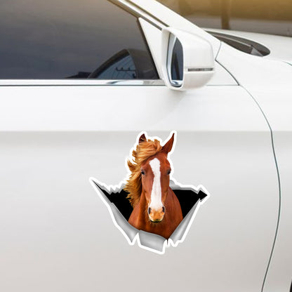 We Like Riding In Cars - Horse Car/ Door/ Fridge/ Laptop Sticker V1