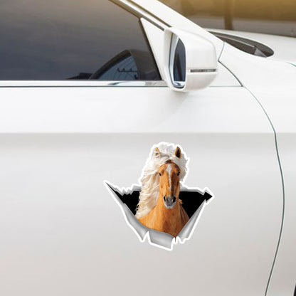 We Like Riding In Cars - Horse Car/ Door/ Fridge/ Laptop Sticker V2