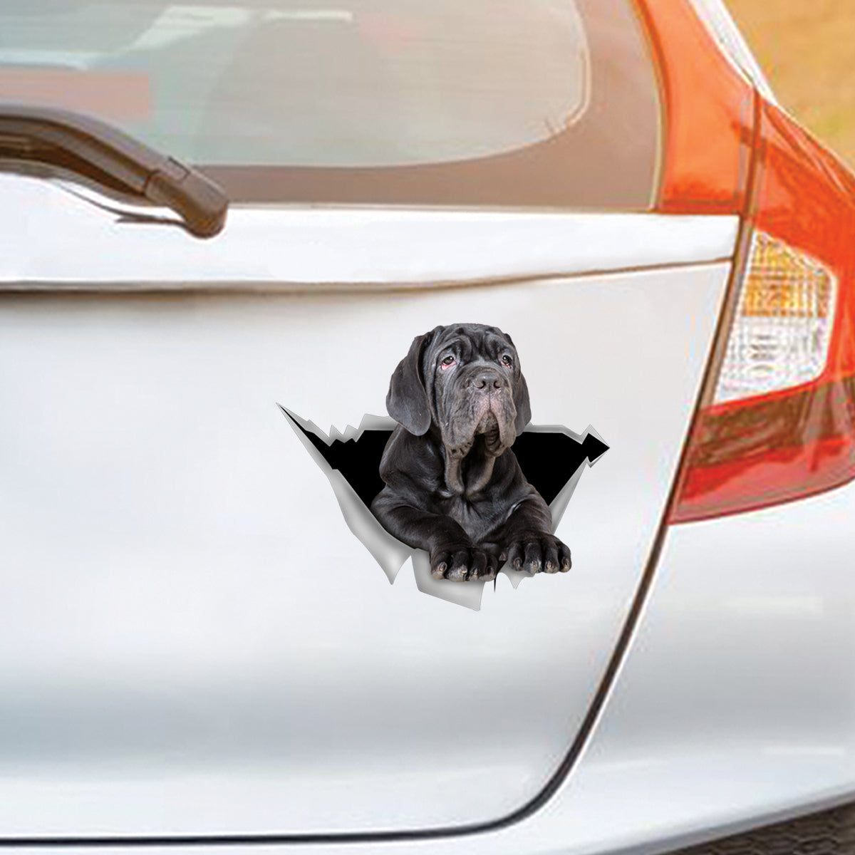 We Like Riding In Cars – Aufkleber für Auto/Tür/Kühlschrank/Laptop mit neapolitanischem Mastiff V1