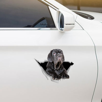 We Like Riding In Cars – Aufkleber für Auto/Tür/Kühlschrank/Laptop mit neapolitanischem Mastiff V1