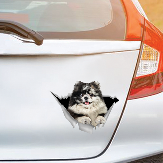 We Like Riding In Cars - Pomeranian Car/ Door/ Fridge/ Laptop Sticker V5