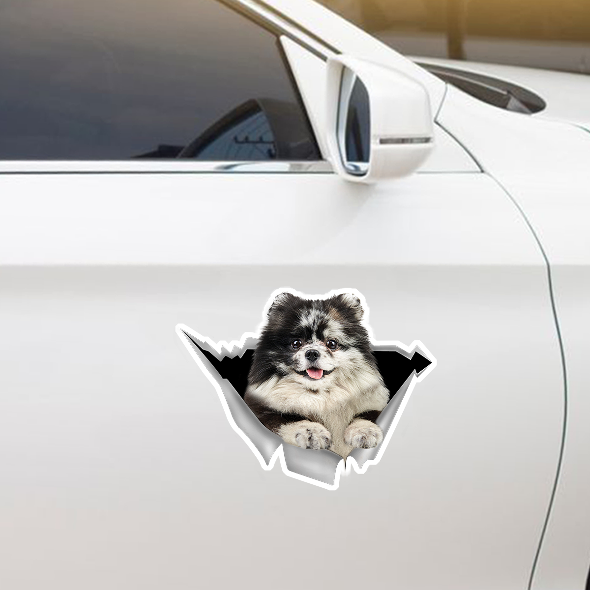 We Like Riding In Cars - Pomeranian Car/ Door/ Fridge/ Laptop Sticker V5