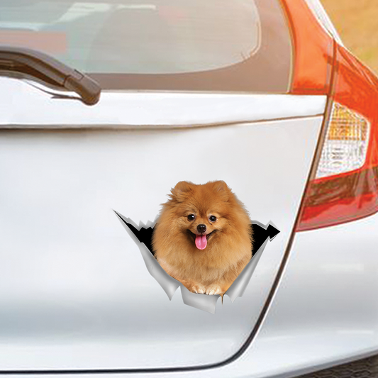 We Like Riding In Cars – Pomeranian Auto-/Tür-/Kühlschrank-/Laptop-Aufkleber V4